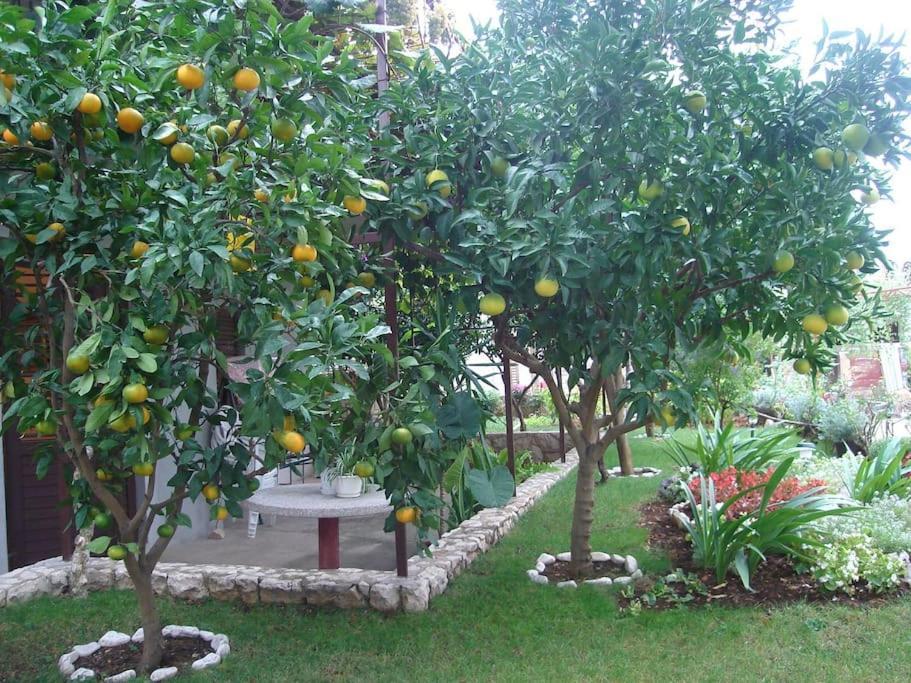 Apartment Mia - Spacious Apartment On 85 M2 With Beautiful Sea View Trogir Kültér fotó